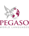 Pegaso centro studi e formazione s.n.c.