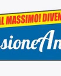 ProfessioneAnimatore