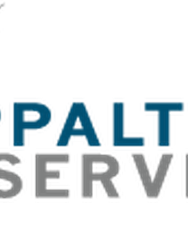 Appalti e servizi srl