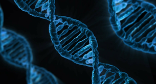 Quanto dura la specializzazione in genetica medica?