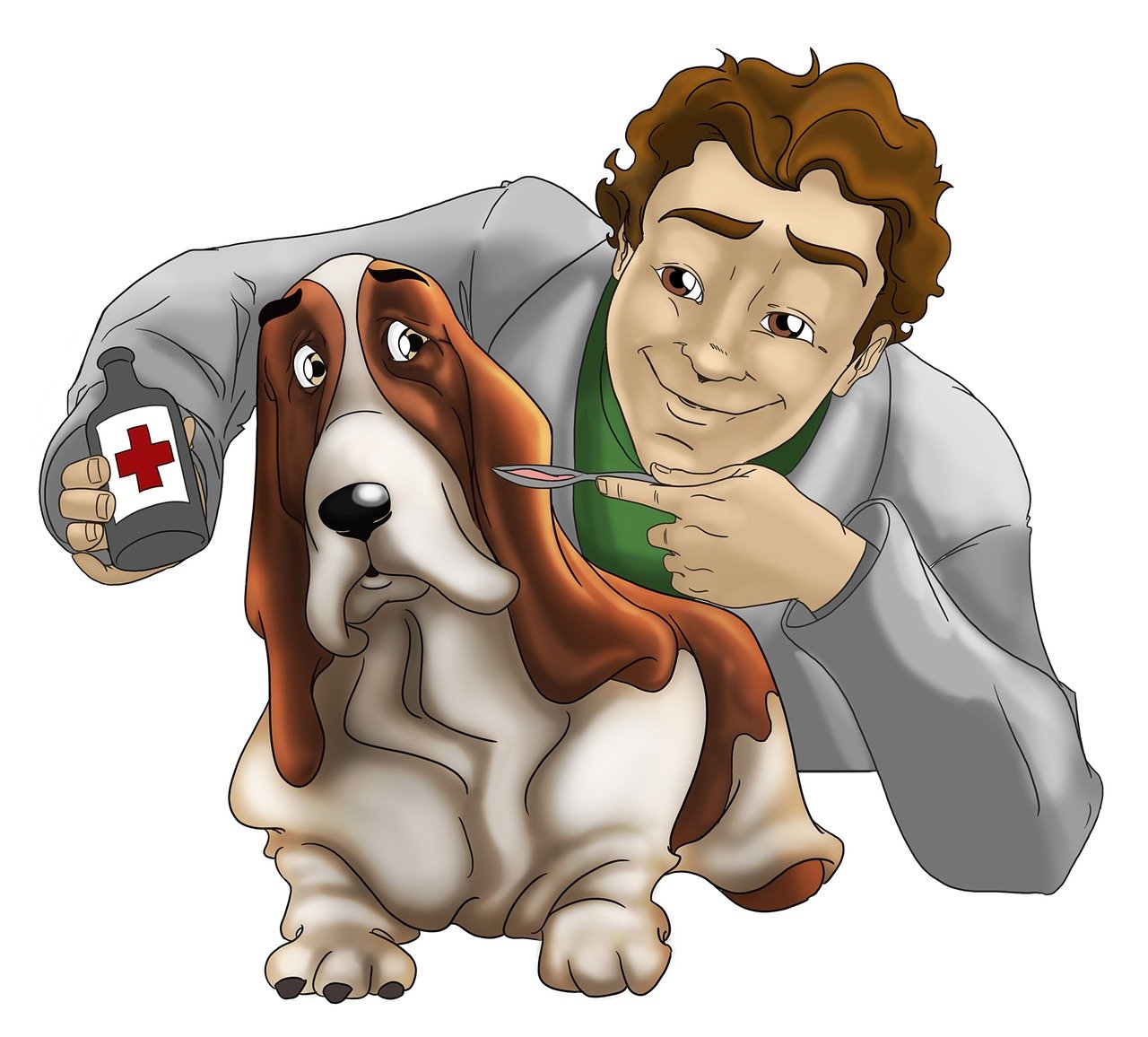 Come diventare veterinario in Svizzera?