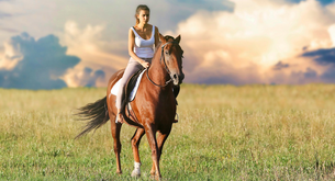 Come diventare istruttore di equitazione western?